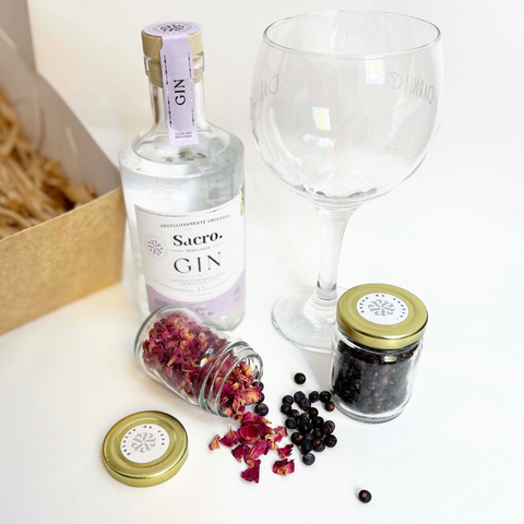 Experiencia Gin